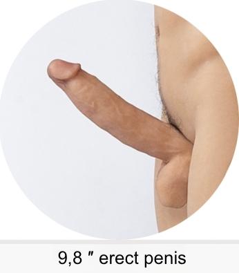 9,8 " erect 